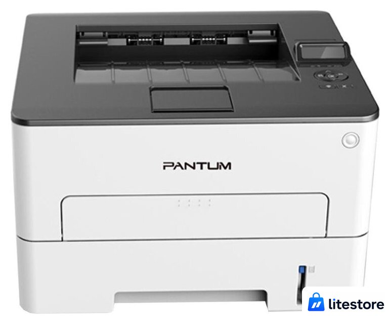 Принтер Pantum P3010DW - Изображение №1 — Лайт Стор