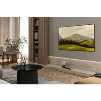 OLED телевизор Samsung OLED S85F QE65S85FAEXRU - Превью изображения №9 — Лайт Стор