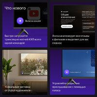 Телевизор Яндекс ТВ Станция Бейсик с Алисой 65 YNDX-00077 - Превью изображения №10 — Лайт Стор