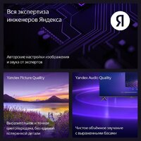 Телевизор Яндекс ТВ Станция Бейсик с Алисой 65 YNDX-00077 - Превью изображения №13 — Лайт Стор