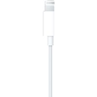 Наушники Apple EarPods (с разъёмом Lightning) - Превью изображения №6 — Лайт Стор